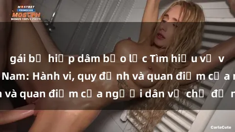 gái bị hiếp dâm bạo lực Tìm hiểu về văn hóa sex ở Việt Nam: Hành vi, quy định và quan điểm của người dân về chủ đề nóng